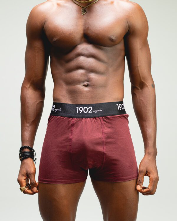 1902 (3 in 1) Signature Underwear